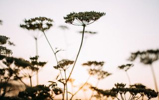 Hypnose Therapie München - Blog Psychotherapie 6