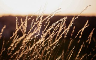 Hypnose in München mit Hypnosetherapie und Psychotherapie